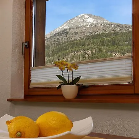 Appartement Gotthard *